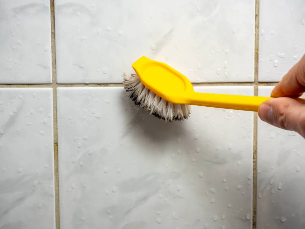 Best Mold Removal Process  in Cocoa West, FL