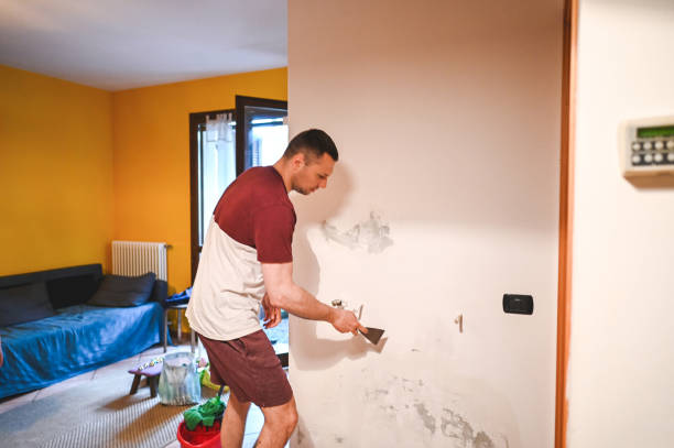Best Mold Damage Repair  in Cocoa West, FL
